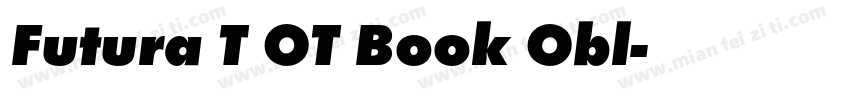 Futura T OT Book Obl字体转换